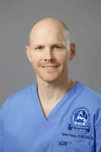 Veterinarians