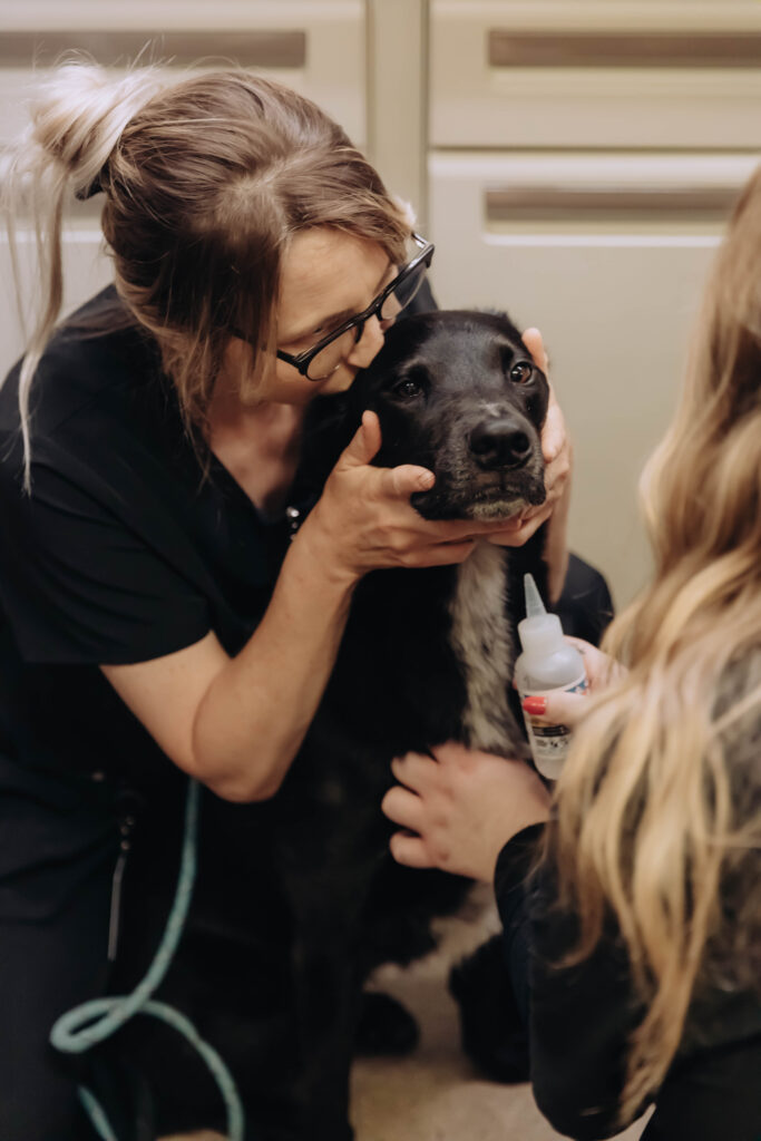 Pet Allergies