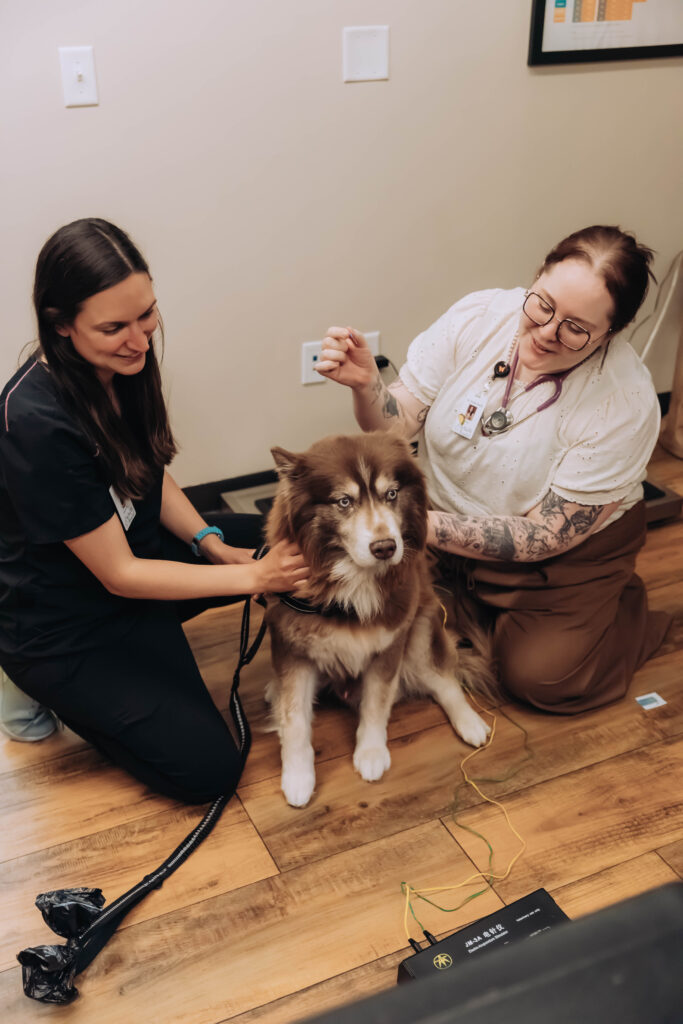 Acupuncture