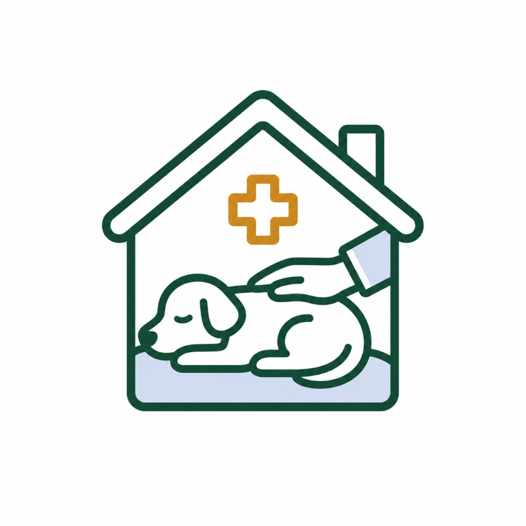 Services