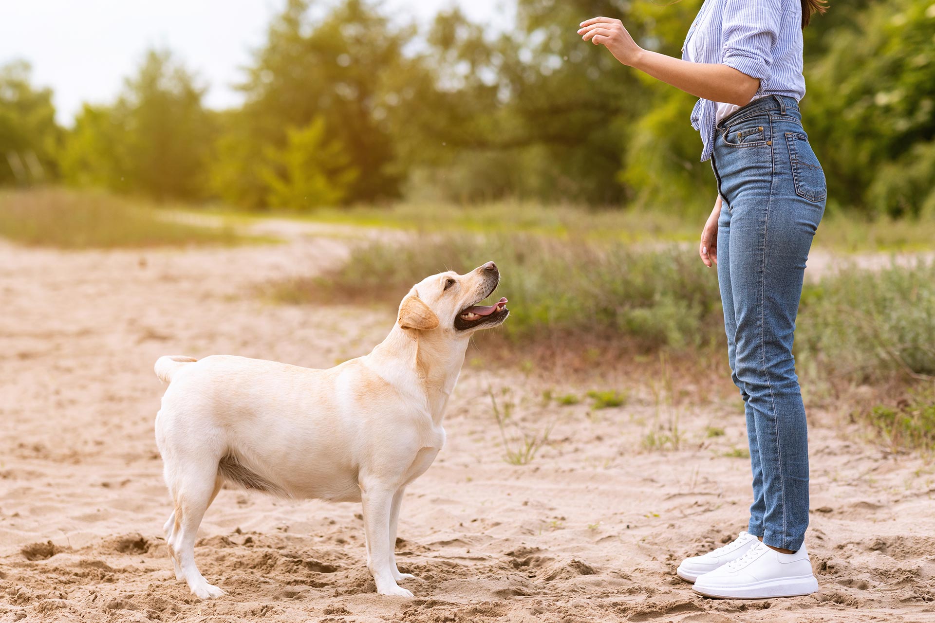 woman giving dog command with hand signal outside