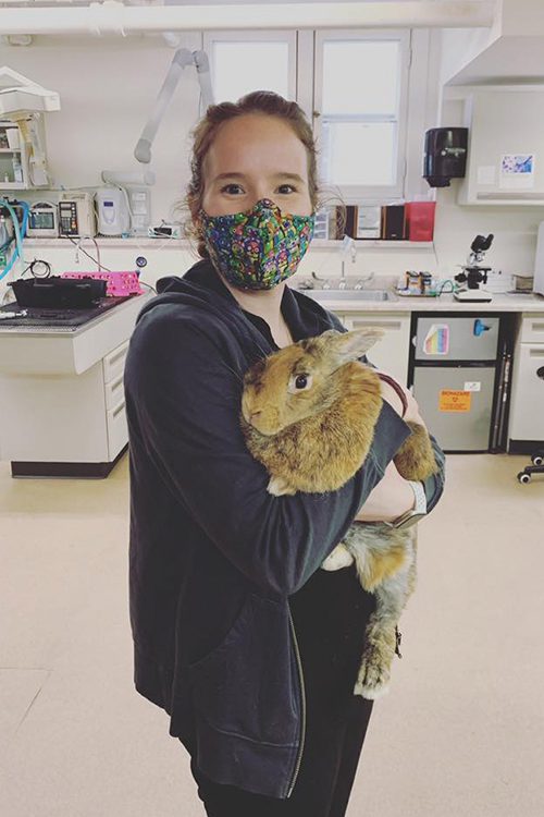 vet assistant holding large bunny