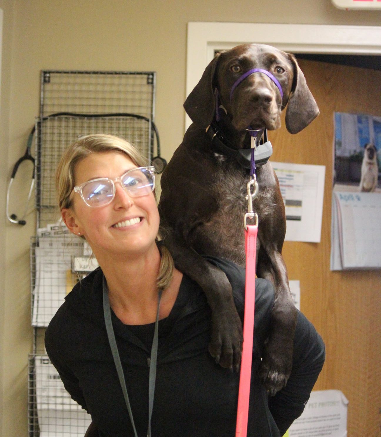 Veterinarian & Animal Hospital for Woodbury, MN Pets | St. Paul Pet  Hospitals